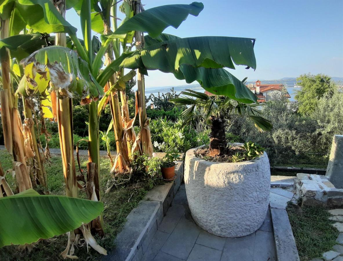 Apartment Nona Nina Koper Bagian luar foto