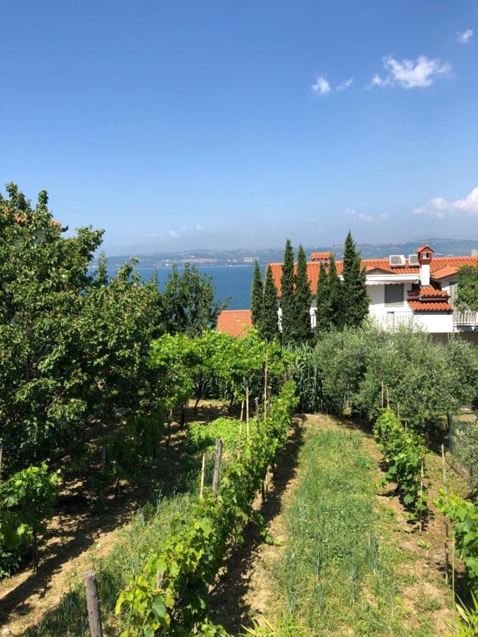 Apartment Nona Nina Koper Bagian luar foto